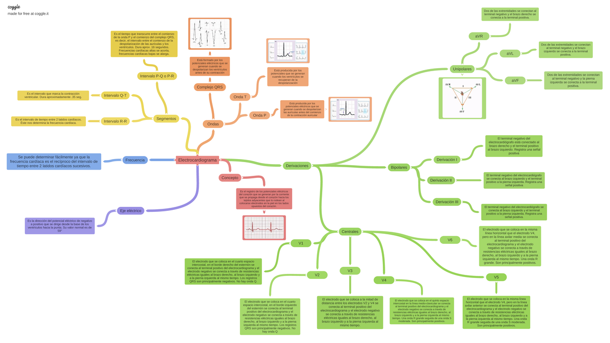 Electrocardiograma mapa mental - Electrocardiograma Ondas Segmentos  Derivaciones Unipolares - Studocu