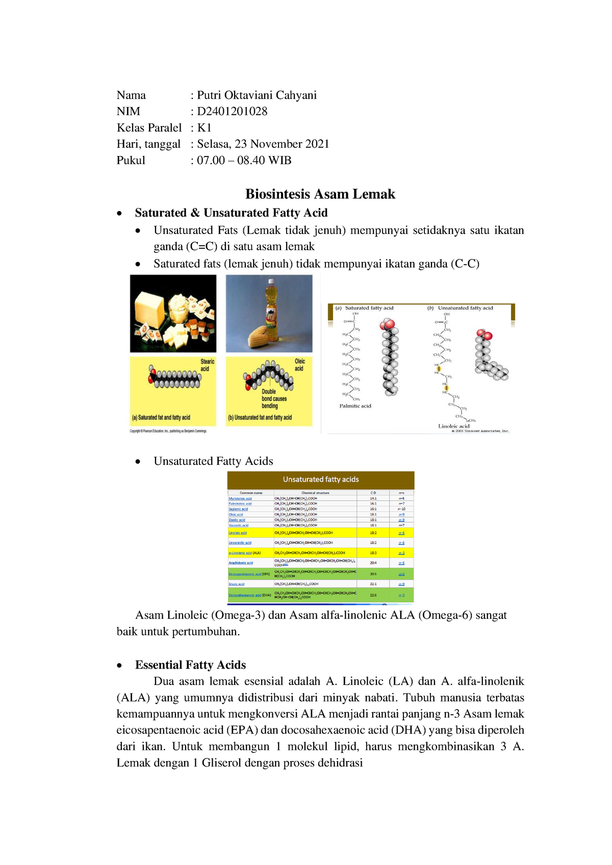 Biosintesis Asam Lemak Nama Putri Oktaviani Cahyani Nim D Kelas Paralel K Hari Tanggal 2660