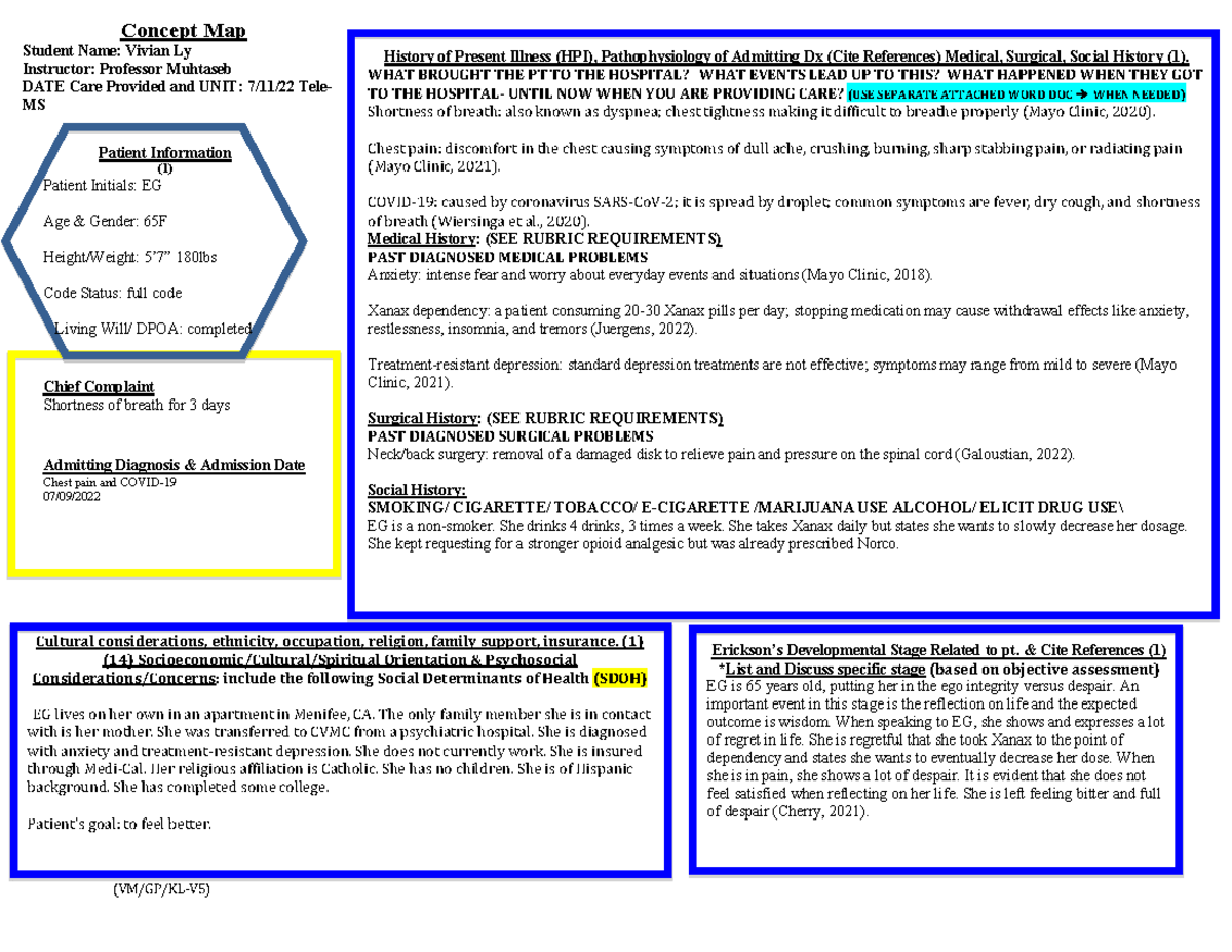 Concept map 2 - Cultural considerations, ethnicity, occupation ...