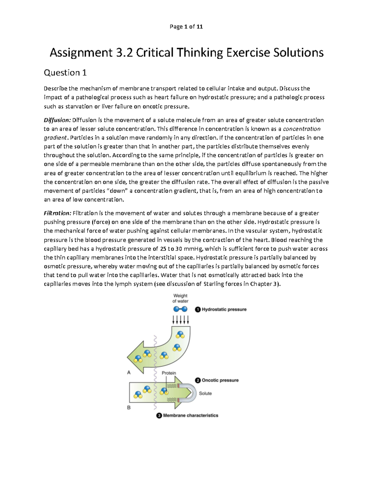 exercise 2.4 critical thinking