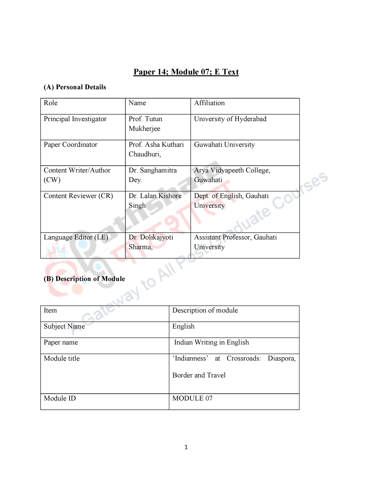 indian diaspora essay