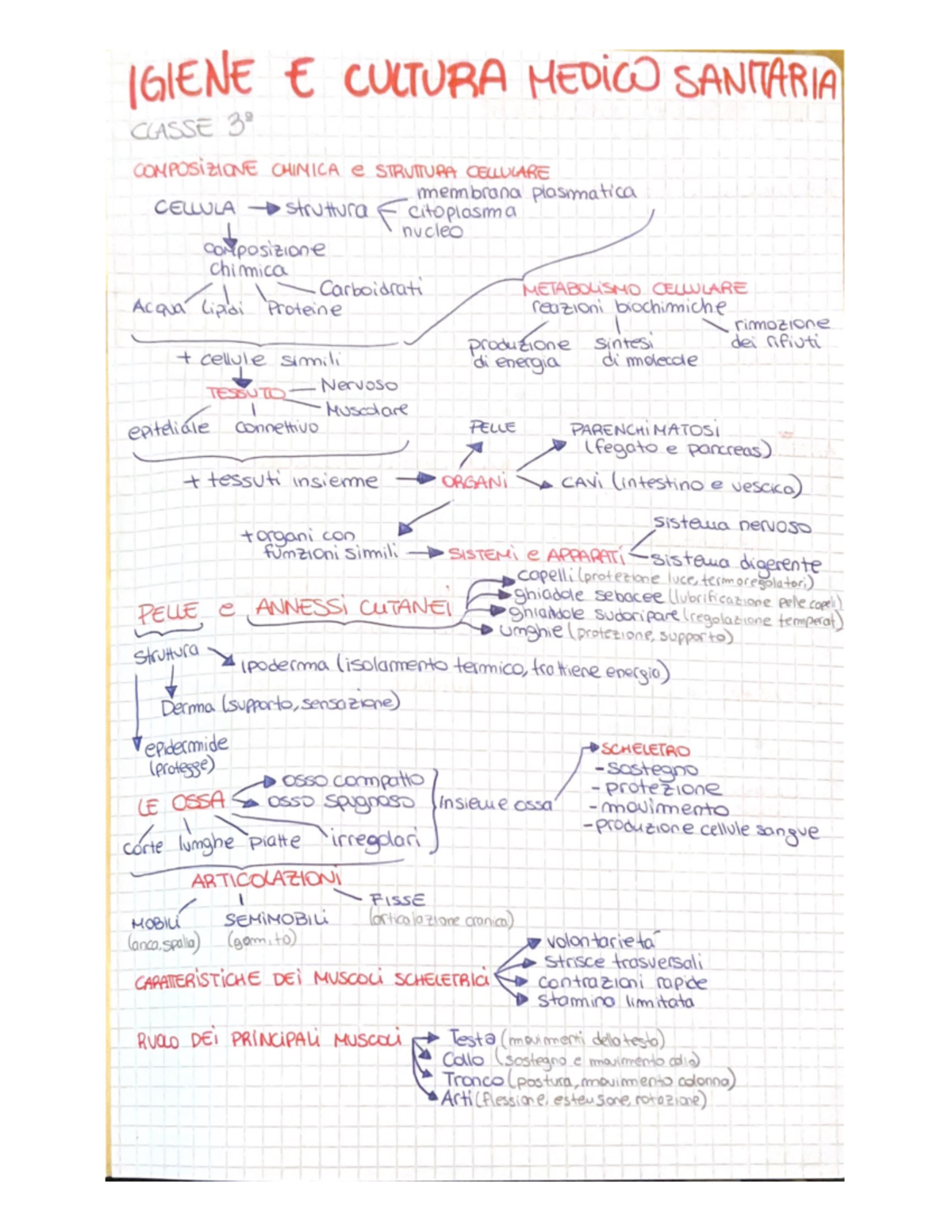 schemi-di-igiene-e-cultura-medico-sanitaria-giene-e-cultura-medico