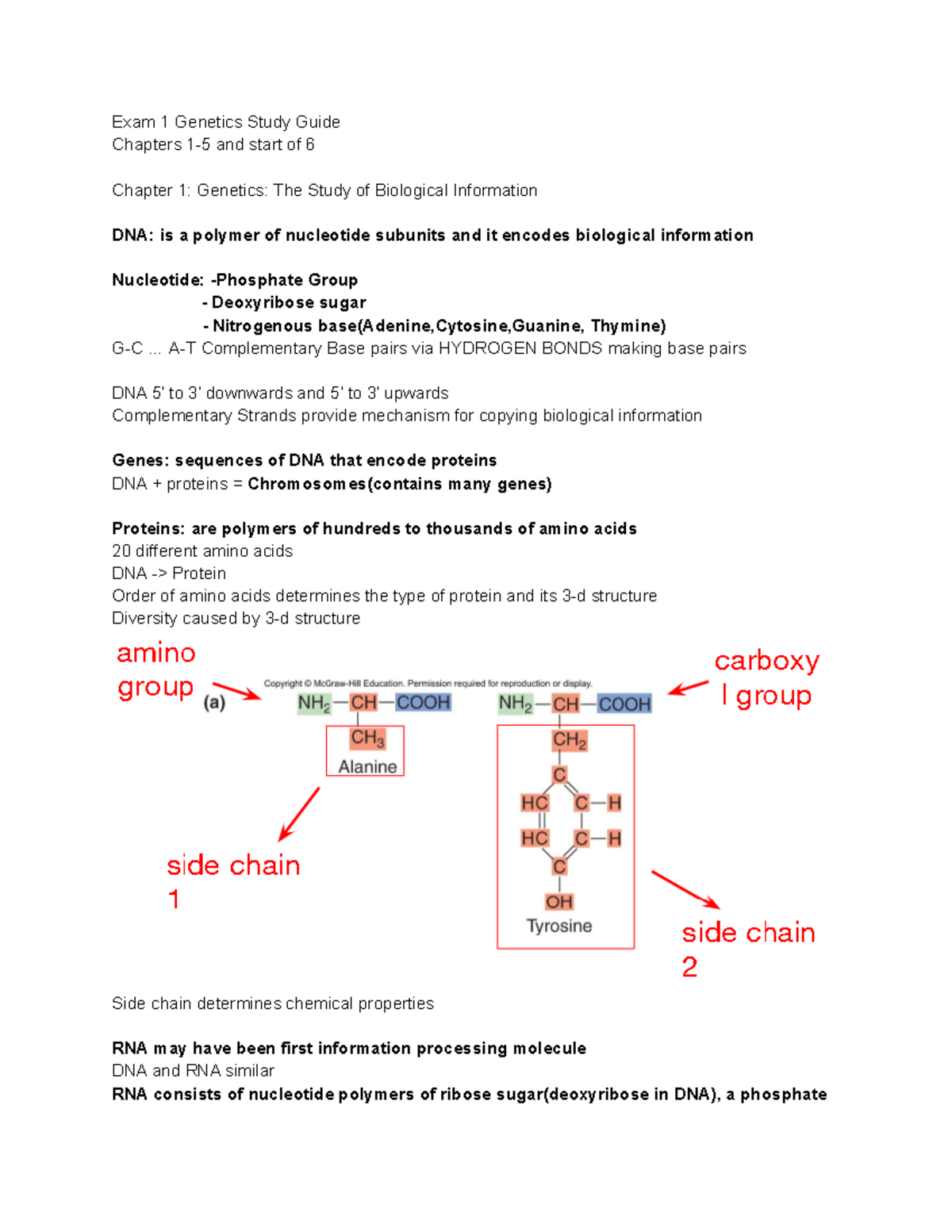 Fall2019-BIO20600-Exam1Study Guide - Exam 1 Genetics Study Guide ...