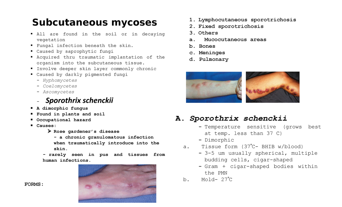 Lecture No. 5 Subcutaneous Mycoses - Subcutaneous Mycoses All Are Found ...