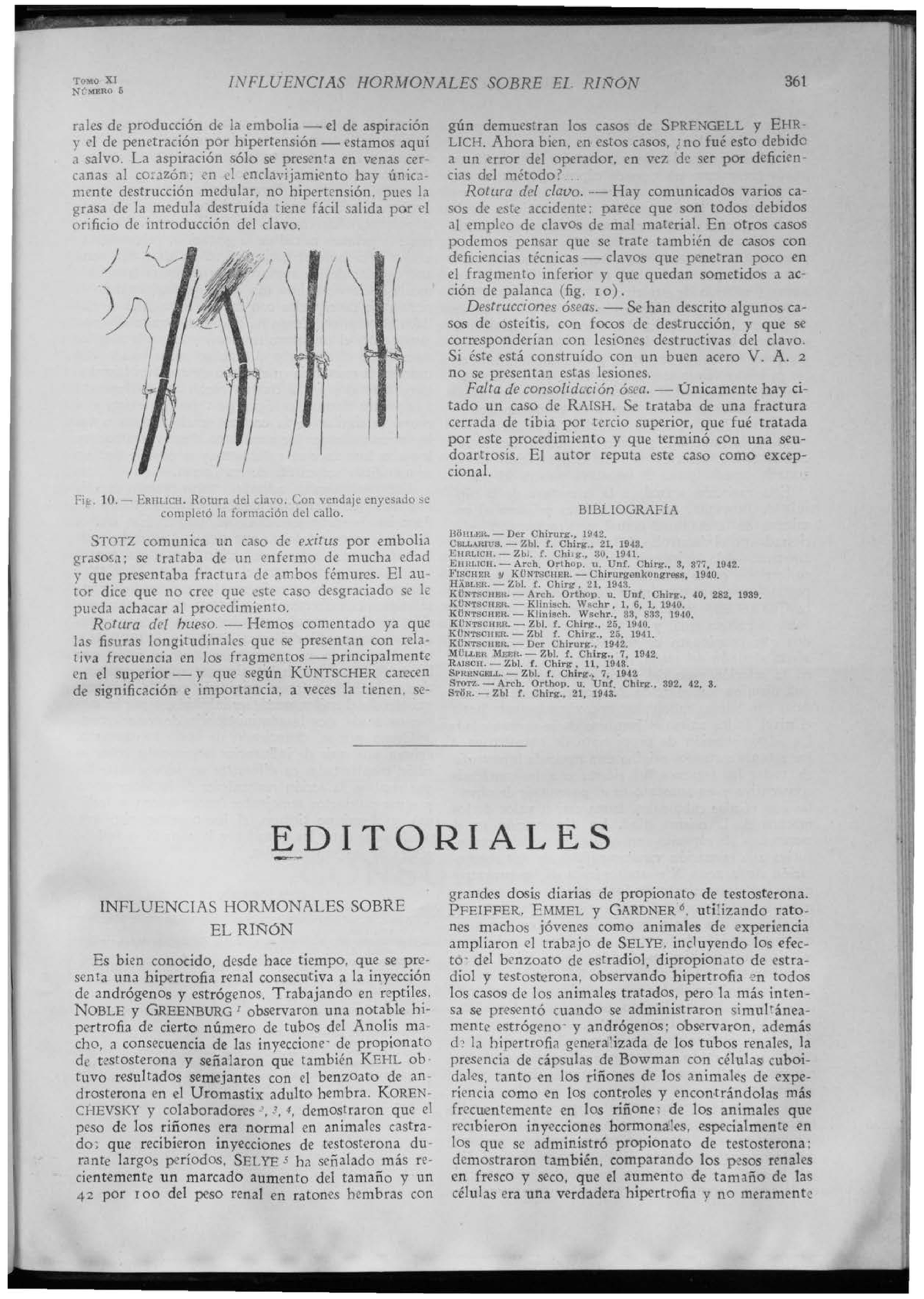 x0014256543139597-xi-n-mero-6-f-fluencjas-hormonales-sobre-el-ri5-r-n