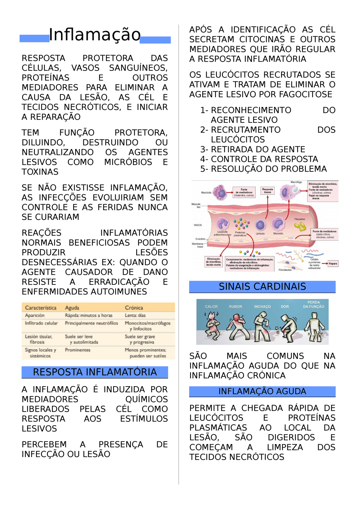 Inflamação Aguda E Crónica Inflamação Resposta Protetora Das CÉlulas Vasos SanguÍneos 8264