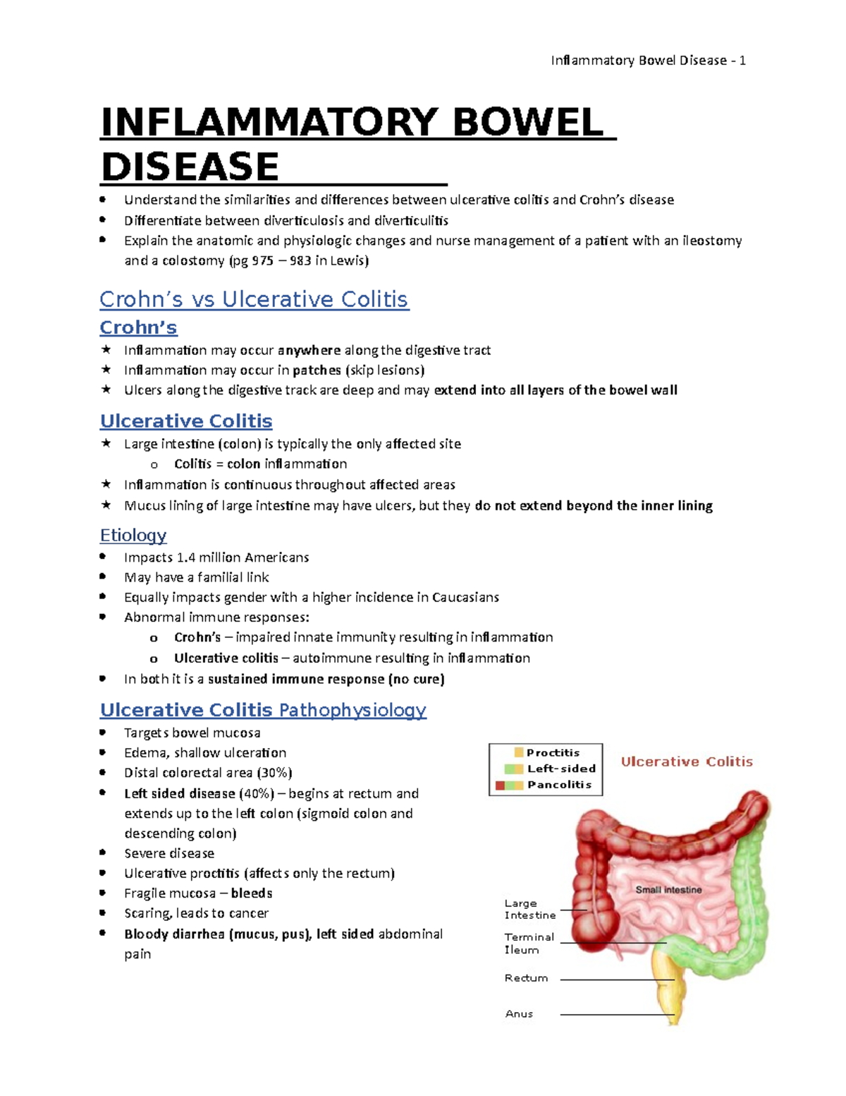 2017-Acute Care System Perspective(NSG412)-Inflammatory Bowel Disease ...