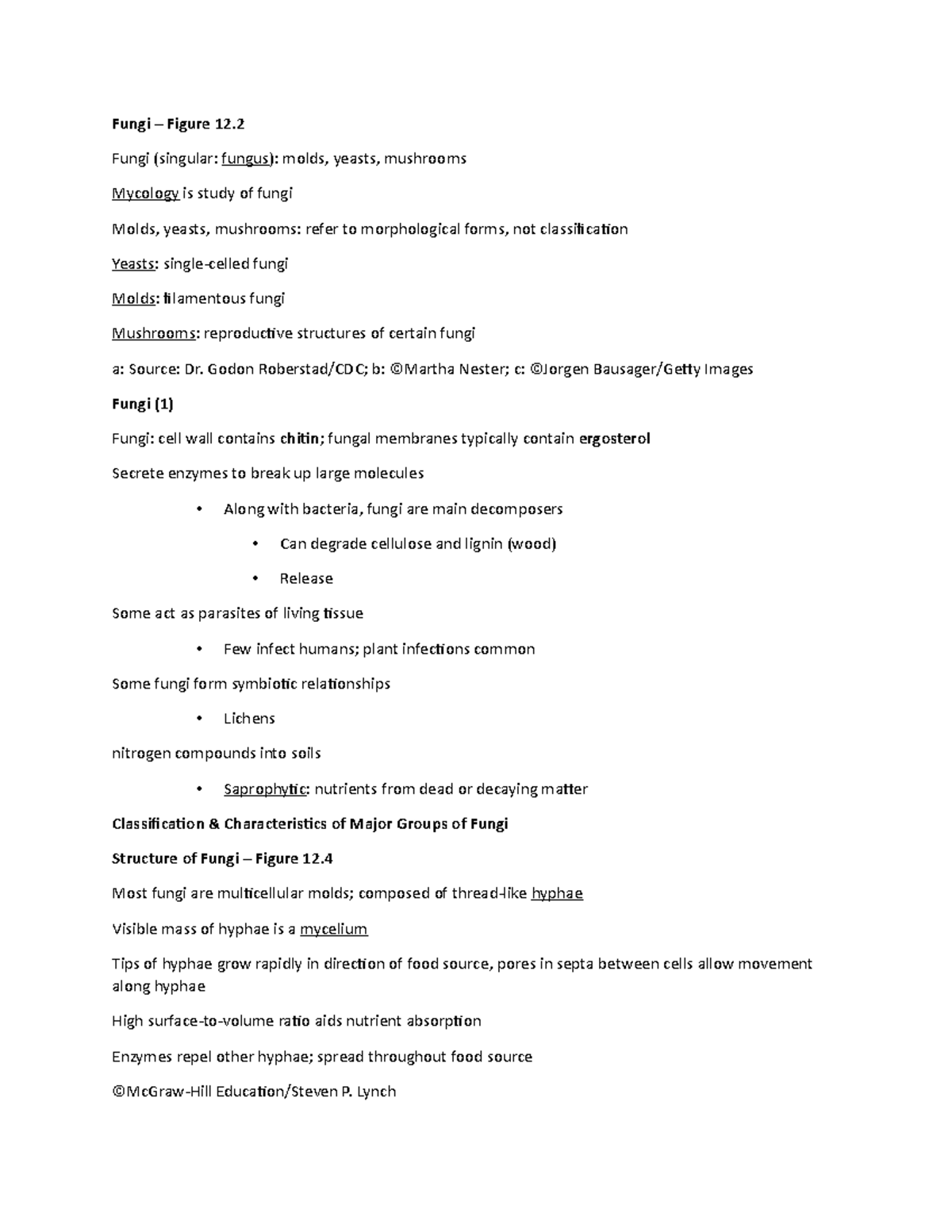 Ch 12 lecture notes - professor Ramesh - Fungi – Figure 12. Fungi ...