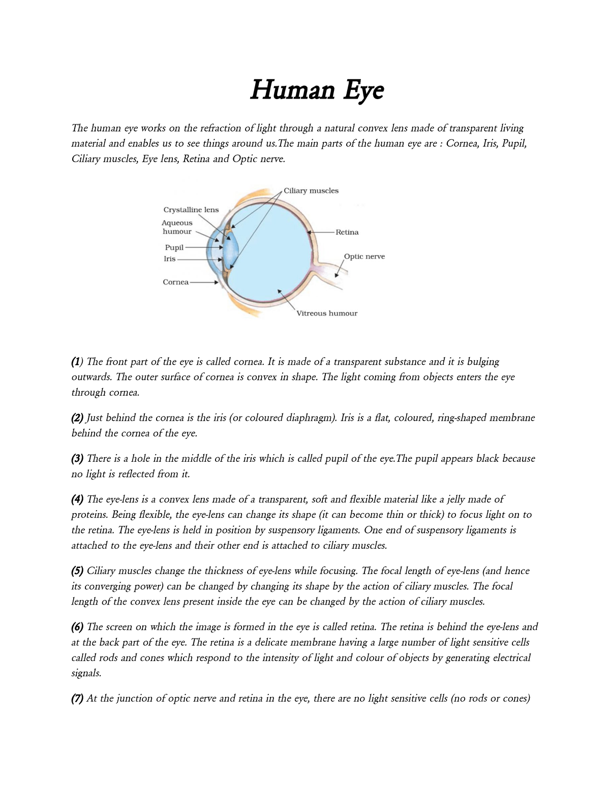 human-eye-it-s-a-lecture-note-human-eye-the-human-eye-works-on-the