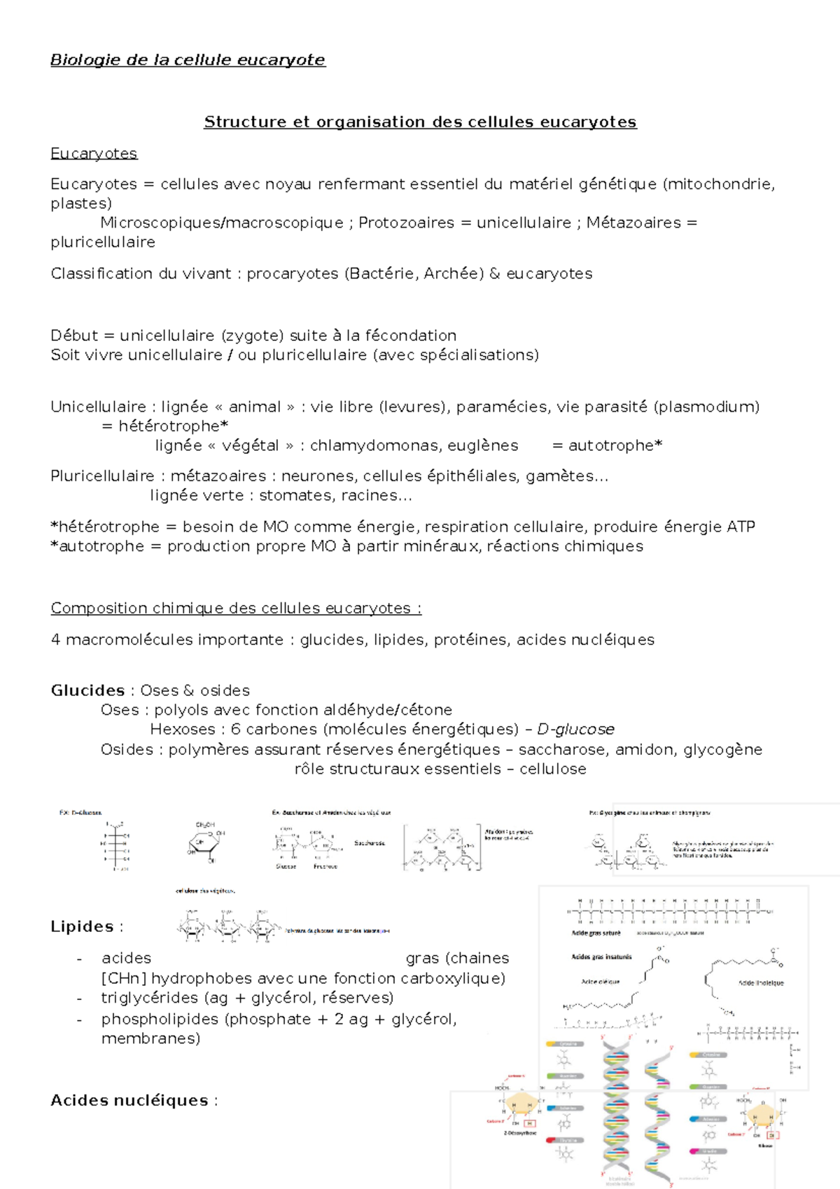chapitre 1 : structure et organisation des cellules eucaryotes ...