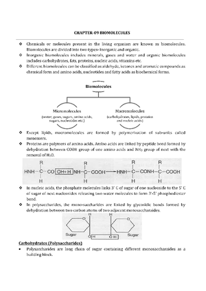 New Folder - Quick revision notes of biomolecules - Biology - Studocu