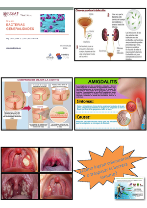Lectura PARA Informe S5 removed - Neisseria gonorrhoeae (also known as ...