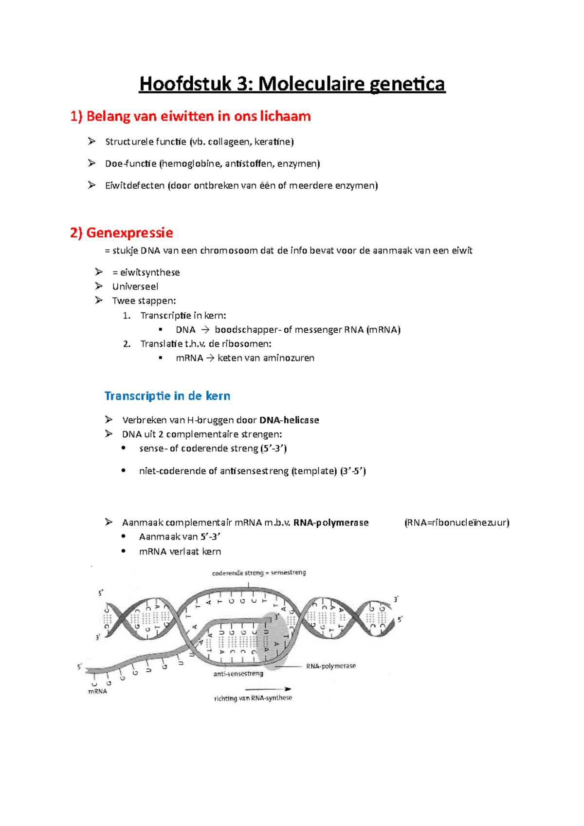 Hoofdstuk 3 - Samenvatting Bio - Hoofdstuk 3: Moleculaire Genetica 1 ...