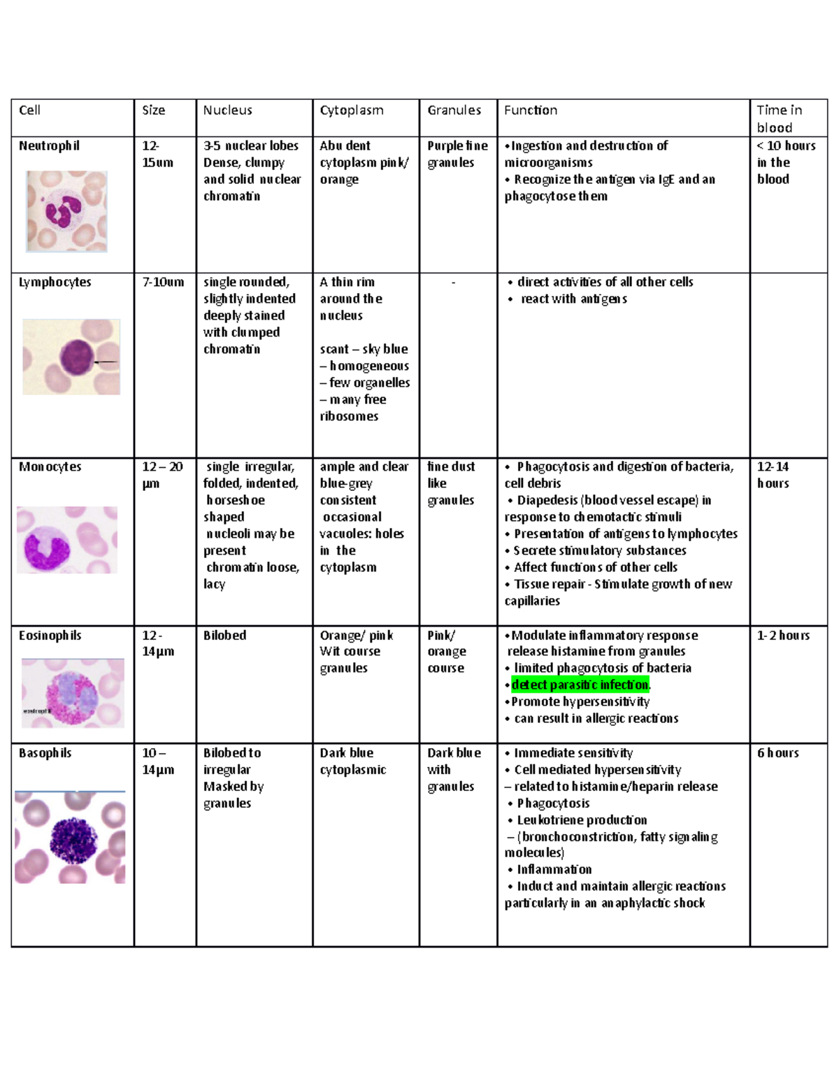 Leukocytes summary - Cell Size Nucleus Cytoplasm Granules Function Time ...