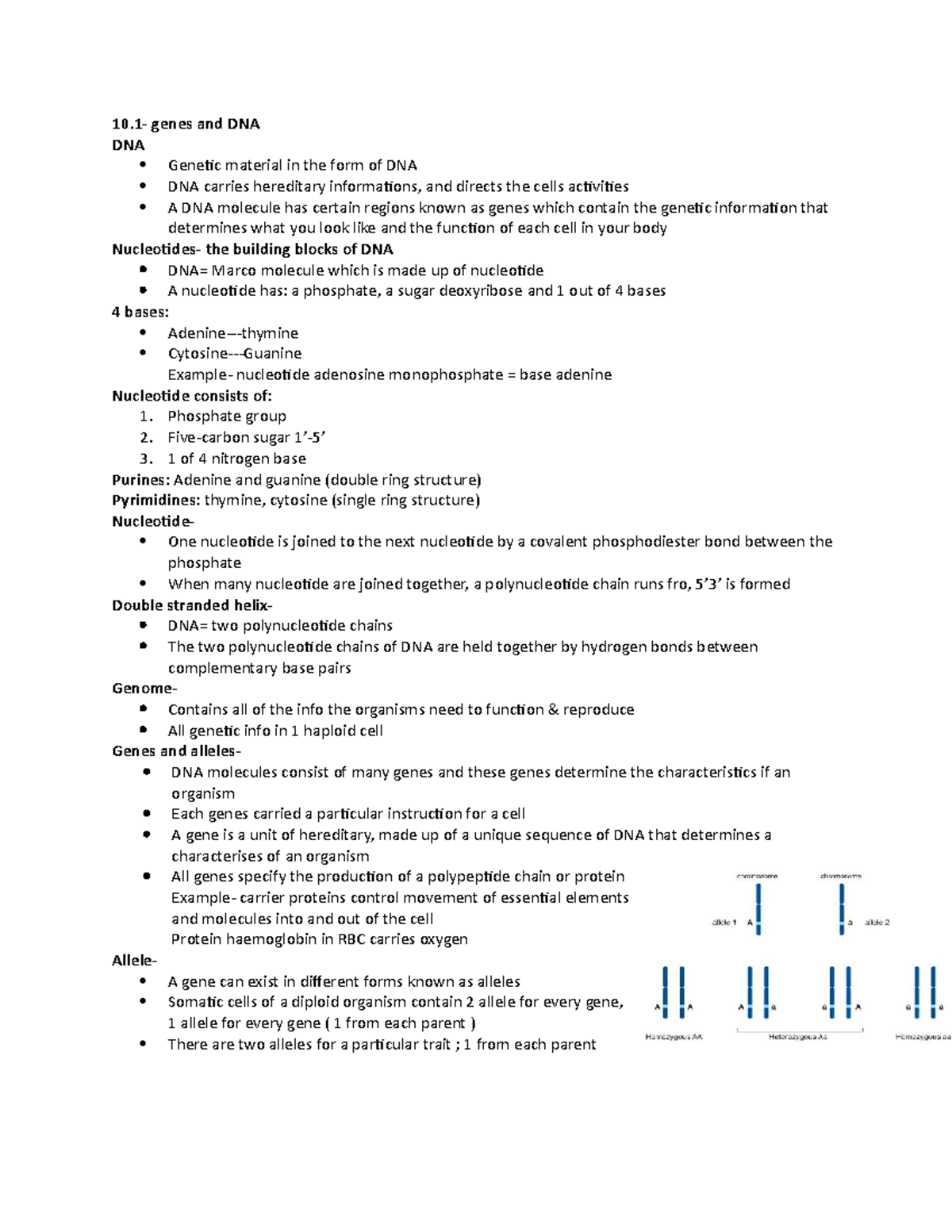 10.1- Genes And DNA - Notes - 10- Genes And DNA DNA Genetic Material In ...