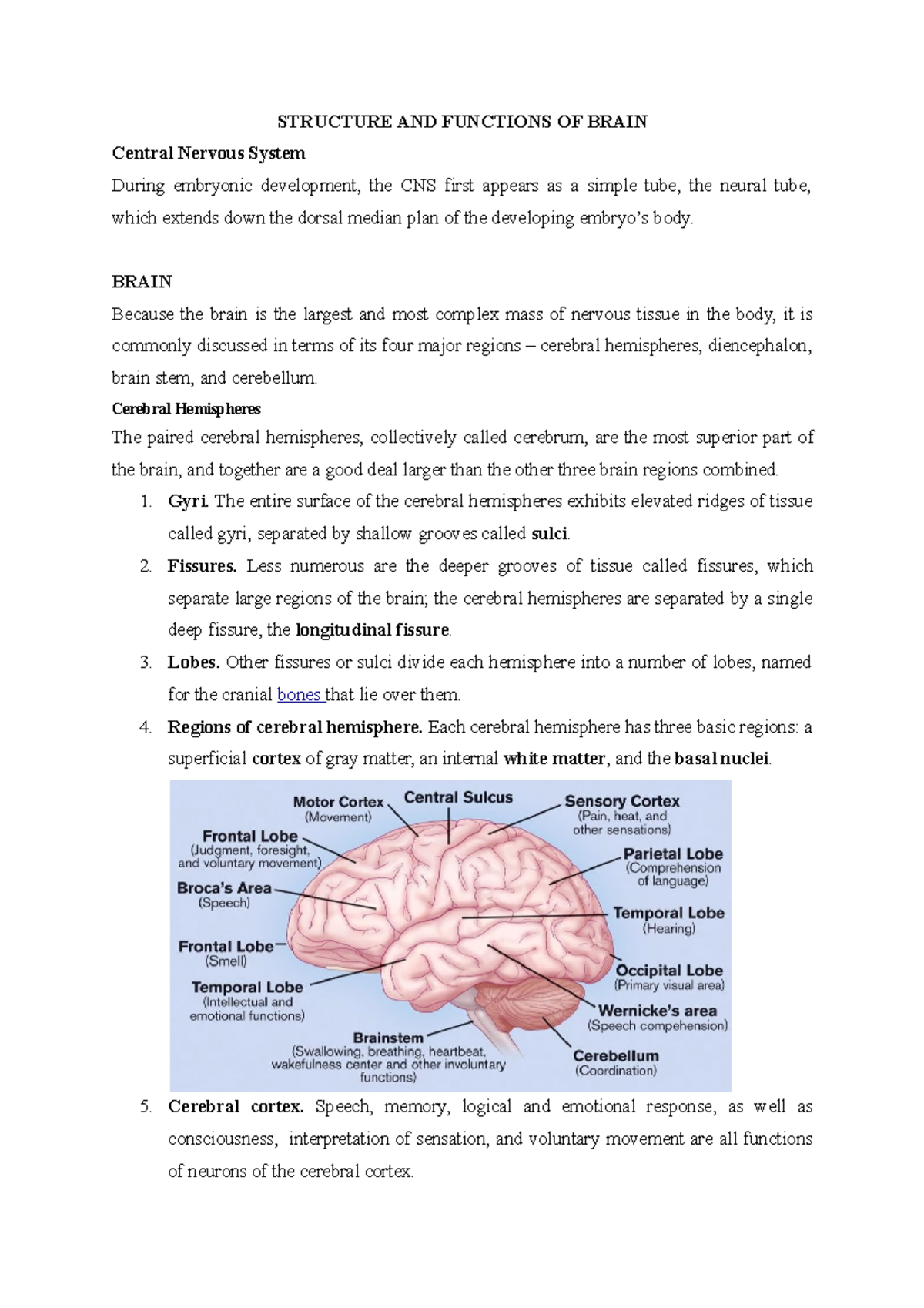 Structure And Functions Of Brain - Zoology - SGBAU - Studocu