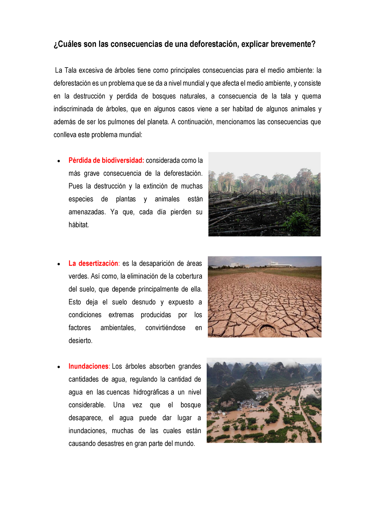 Consecuencias de una deforestación - A continuación, mencionamos las  consecuencias que conlleva este - Studocu