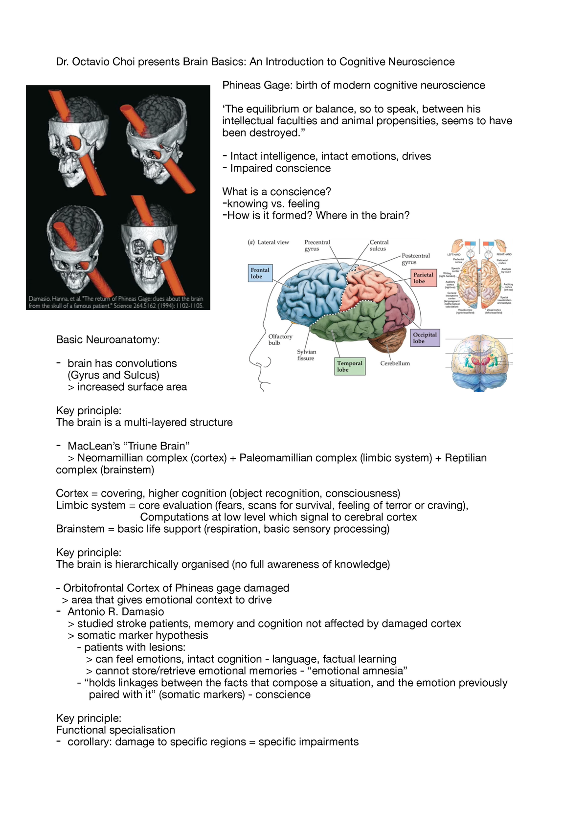 Dr. Octavio Choi presents brain basics - Dr. Octavio Choi presents ...