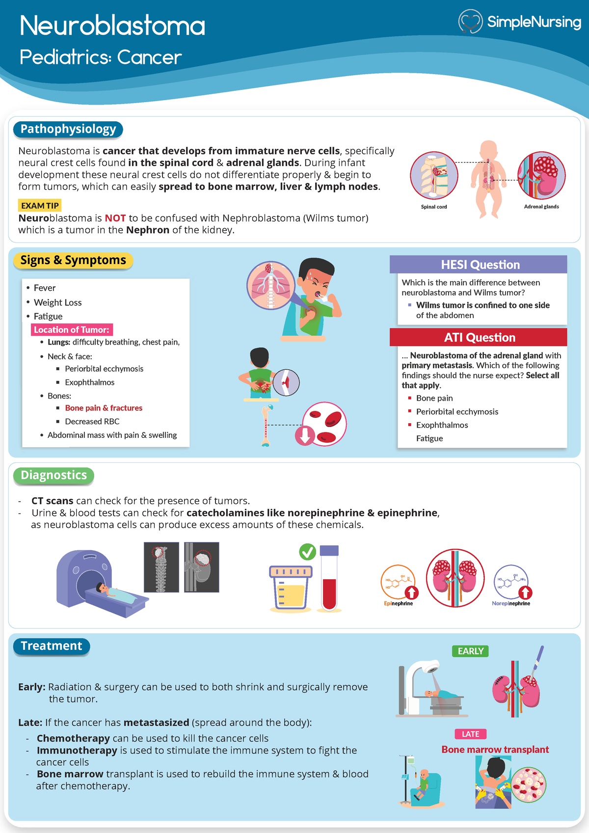 2. Neuroblastoma - Summary OB/Peds - Neuroblastoma Pediatrics: Cancer ...