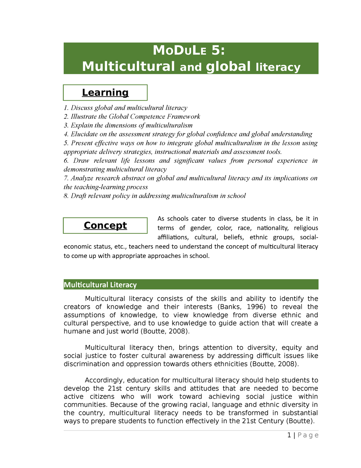 multicultural literacy essay