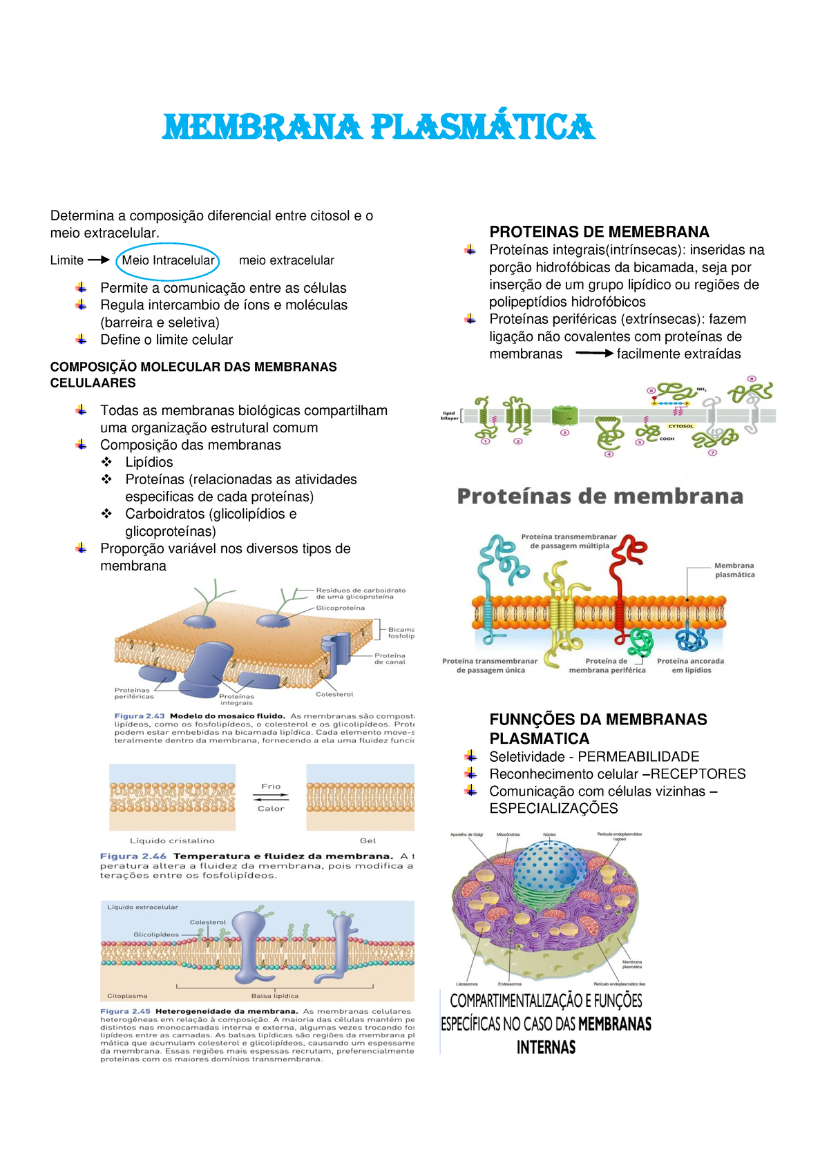 Membrana Plasmática B - Membrana Plasm·tica Determina A Composição ...