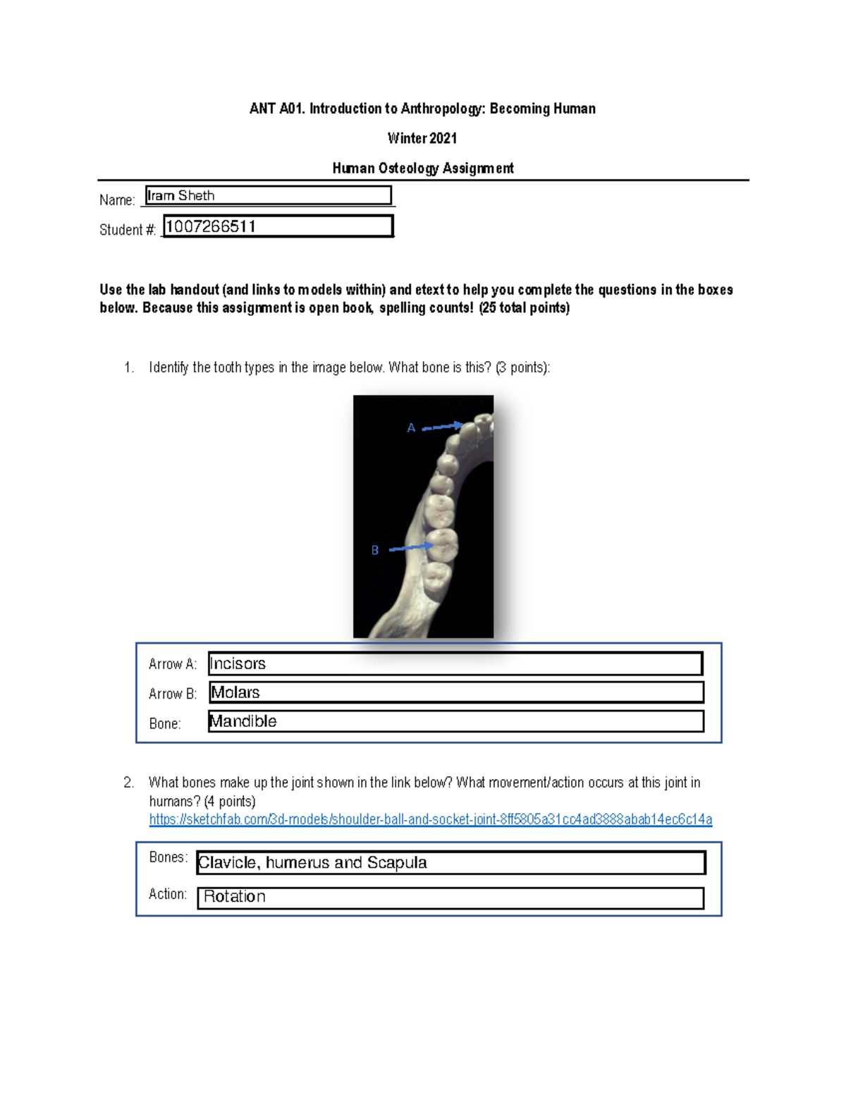 ANT A01 Lab Assignment 1 (1)-2 - ANT A01. Introduction To Anthropology ...