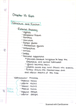 Health Assessment EXAM 1 Practice Questions - Health Assessment EXAM 1 ...