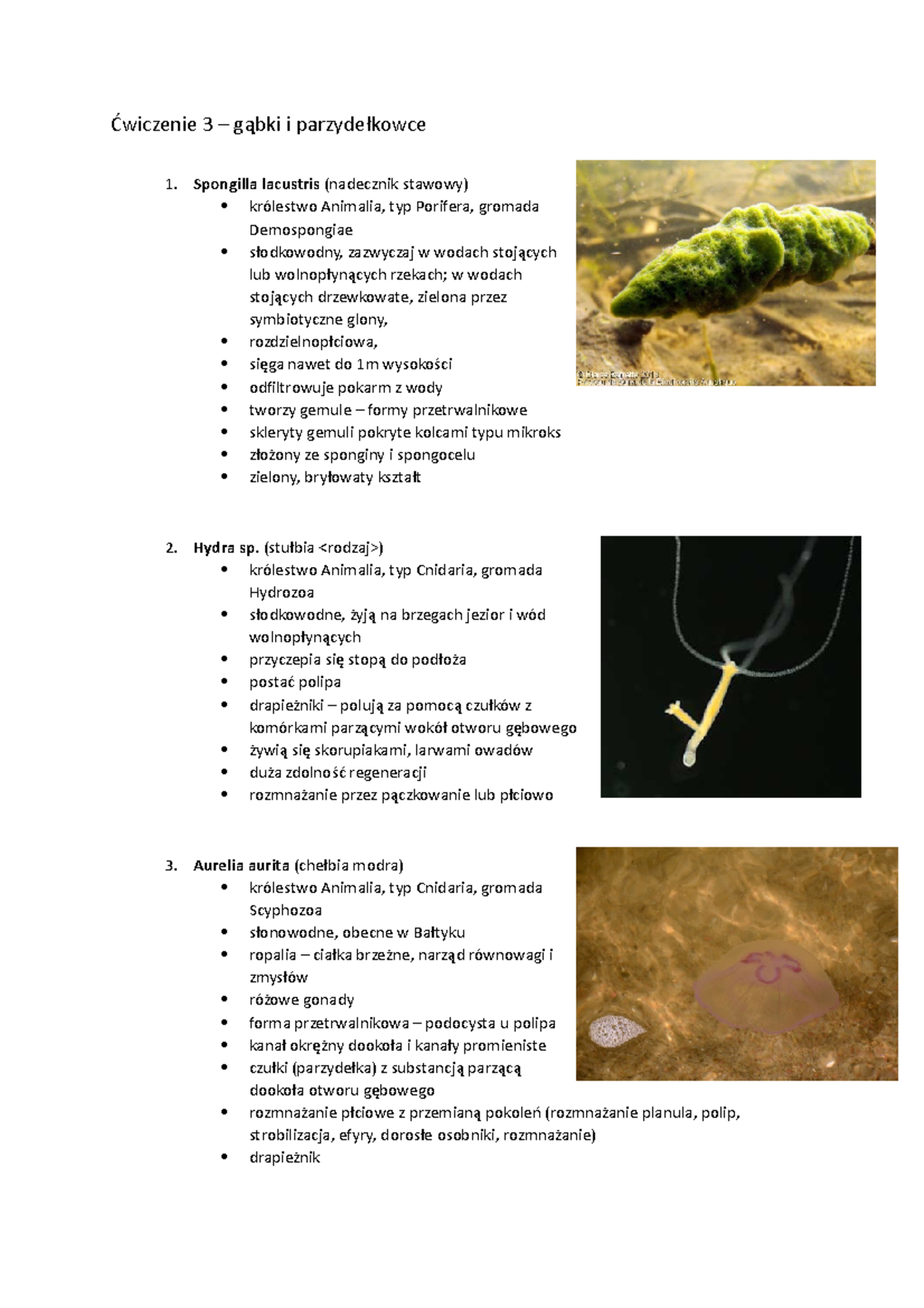 zoologia-charakterystyka-grup-1-g-bki-parzyde-kowce-2-pier-cienice