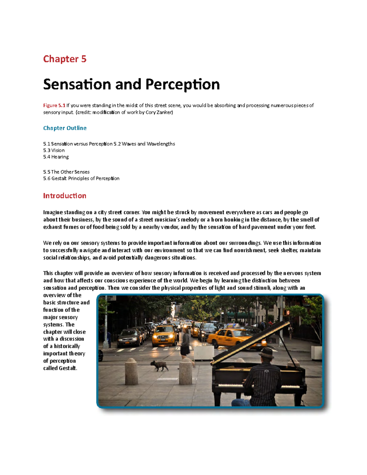 Sense and Perception - Lecture notes 7 - Chapter 5 Sensation and ...