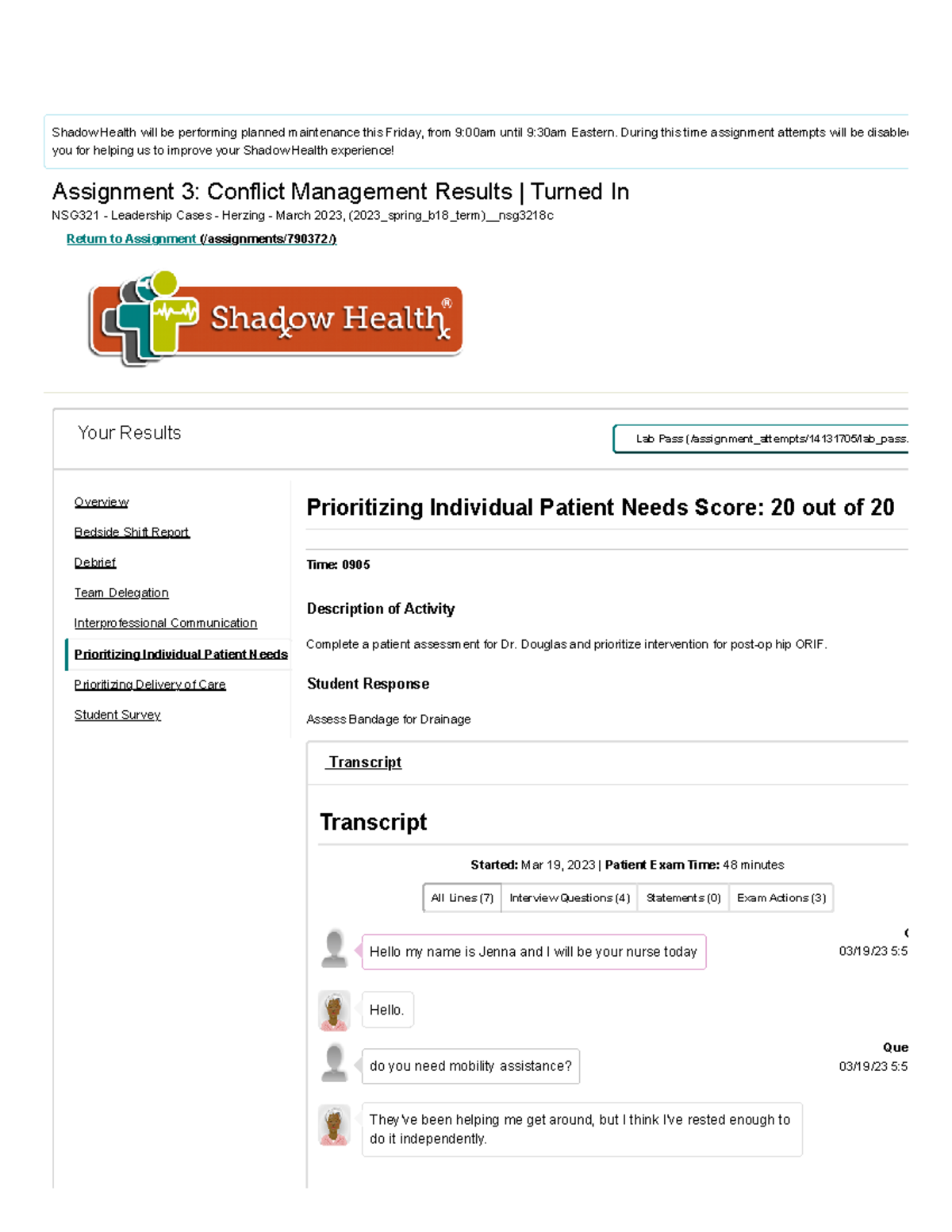 assignment 3 conflict management shadow health