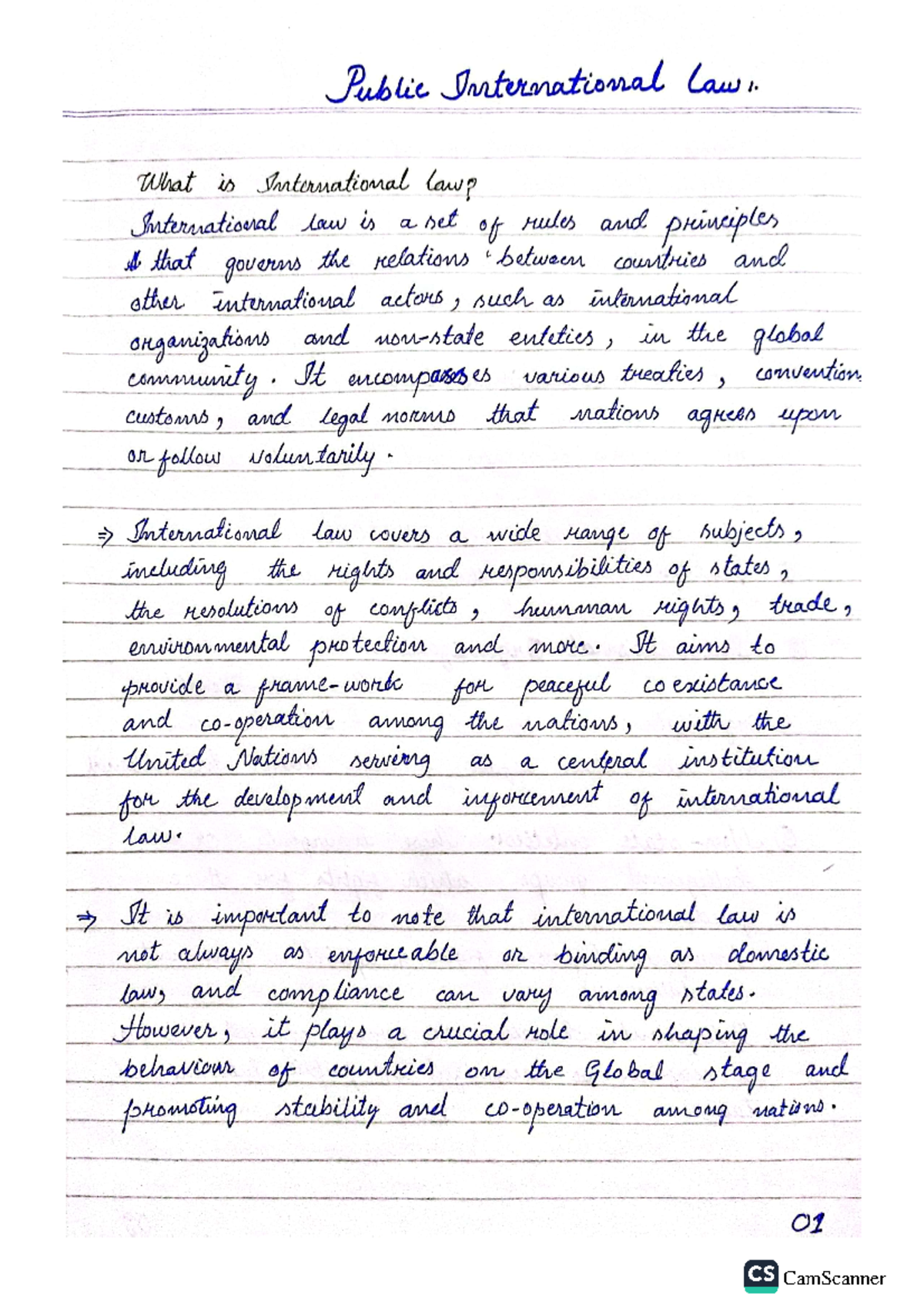 Public International law - Introduction to Political Science - Studocu