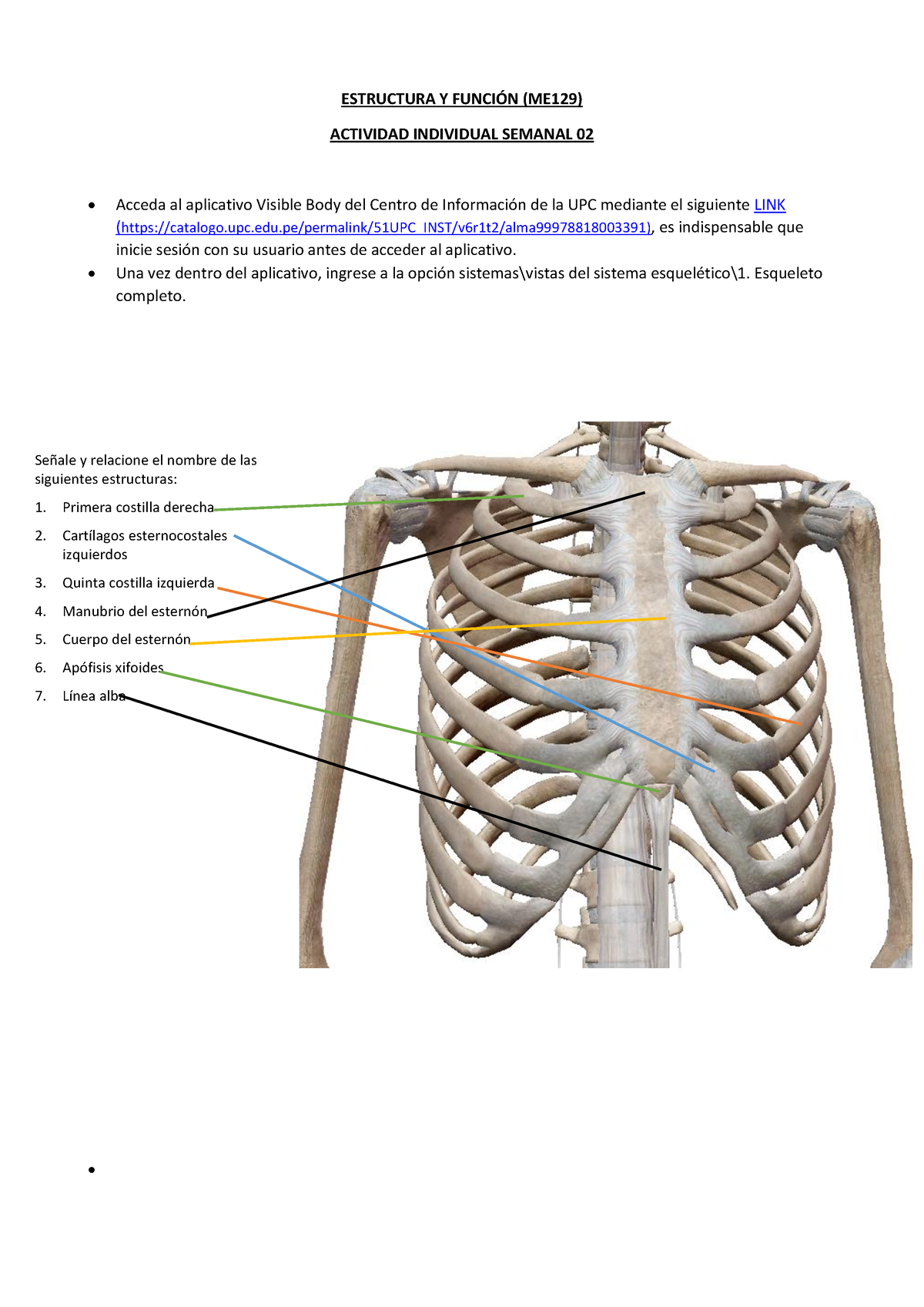 Tarea Semana 2-estructura Y Funcion - ESTRUCTURA Y FUNCI”N (ME129 ...