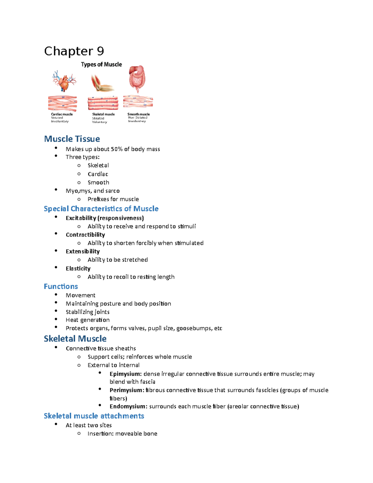 Chapter 9 Bio 208 - Muscle tissue - Chapter 9 Muscle Tissue Makes up ...