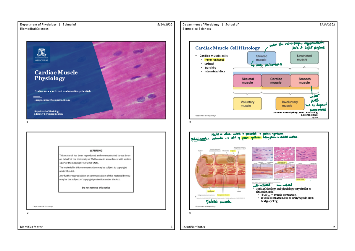 Lec 29 Cardiac muscle physiology - Department of Physiology | School of ...