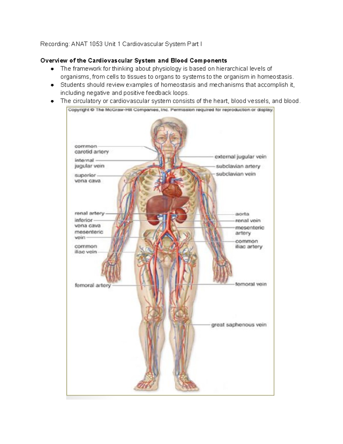 ANAT 1053 Unit 1 Cardiovascular System Part I - Students should review ...