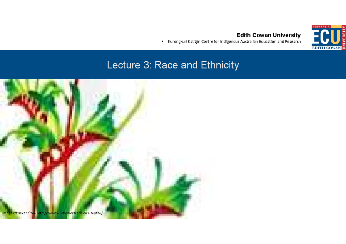 SCH1101 - Lecture 3 (Module 1. Topic 2. Race & Ethnicity) - Edith Cowan ...