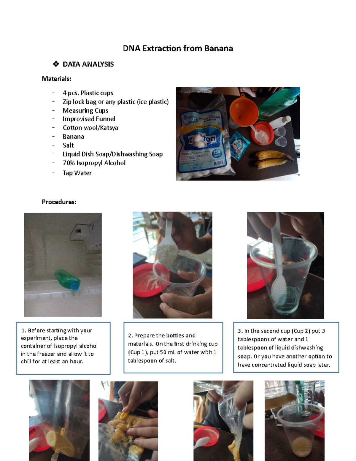 Biology Laboratory Notebook Banana DNA Extraction Dicussion DNA