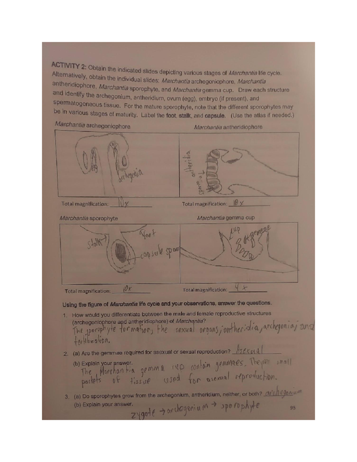 Lab 7 - BSC 1011H - Studocu