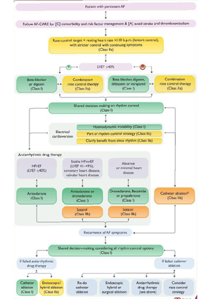 DOAC - Details of AF - DOACs rather than VKA are recommended in ...