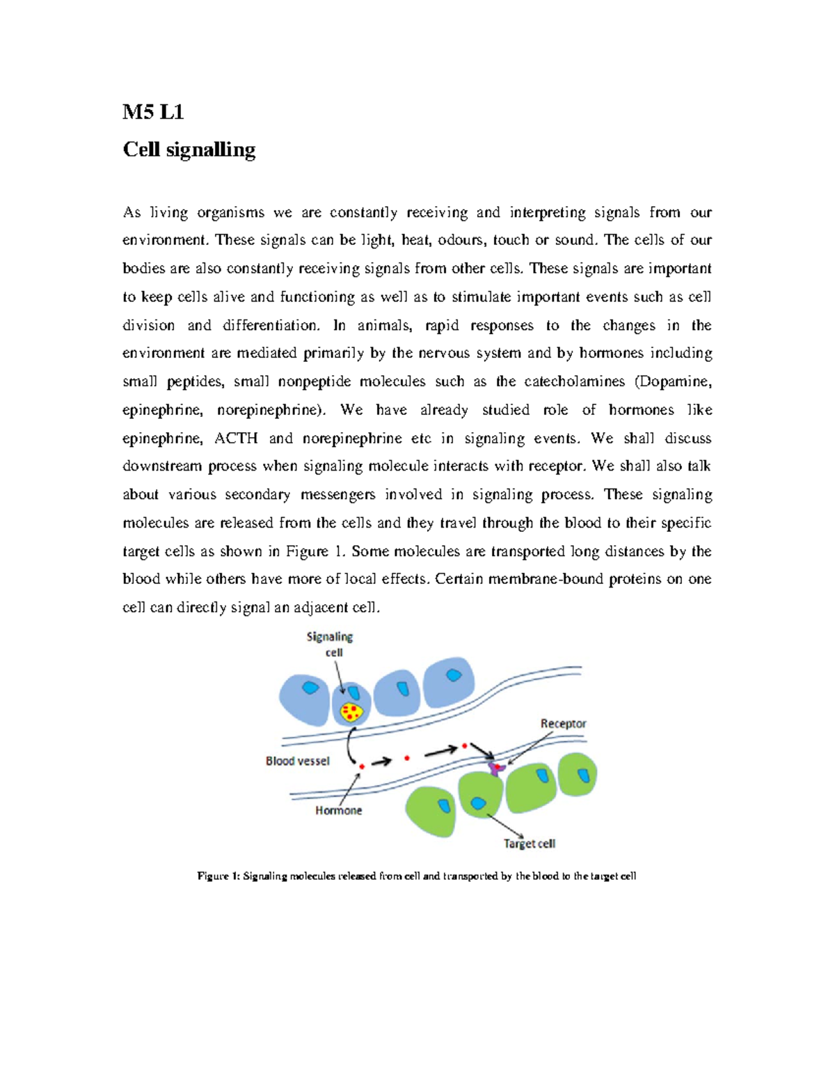 Mod5 - CELL BIOLOGY - M5 L Cell signalling As living organisms we are ...
