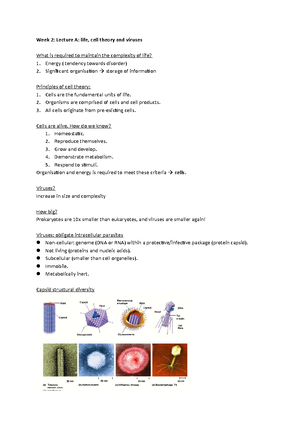 Molecular And Cell Biology Notes - Chapter 1: Basic Molecular Themes Of ...