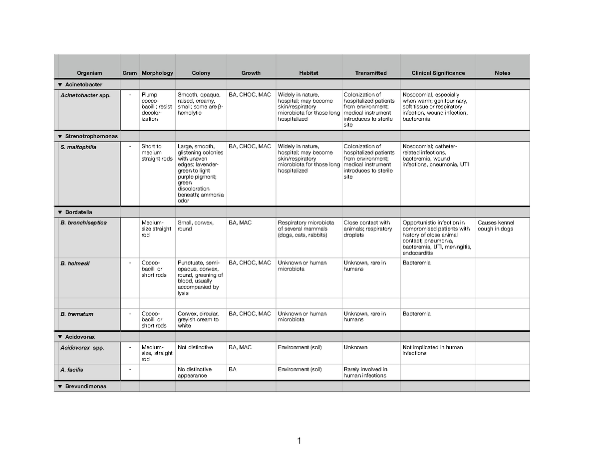 gram-negative-bacilli-rods-microbiology-learning-the-why-ology-of