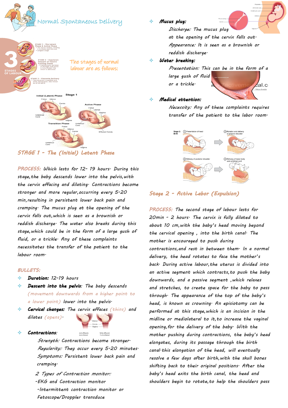 Normal Spontaneous Delivery - The stages of normal labour are as ...