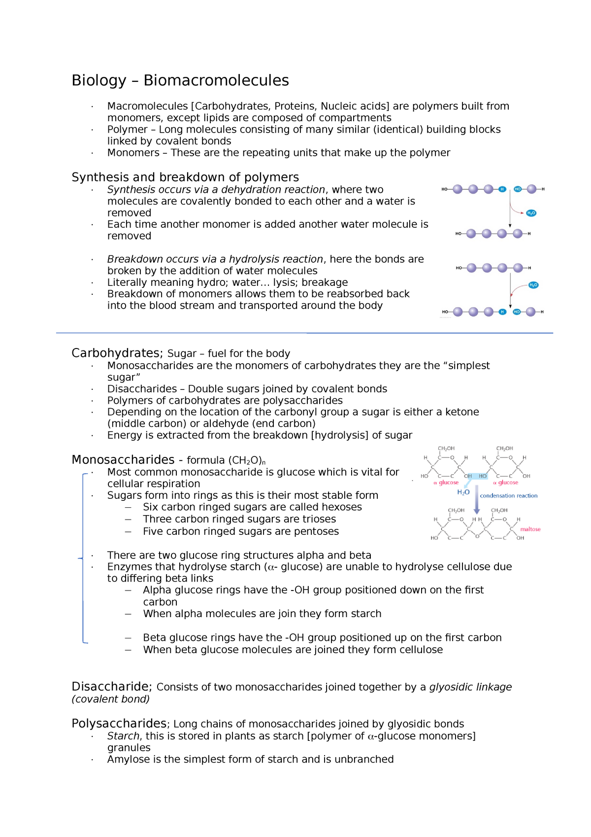 Biology Biomacromolecules Biology Biomacromolecules Macromolecules Carbohydrates 