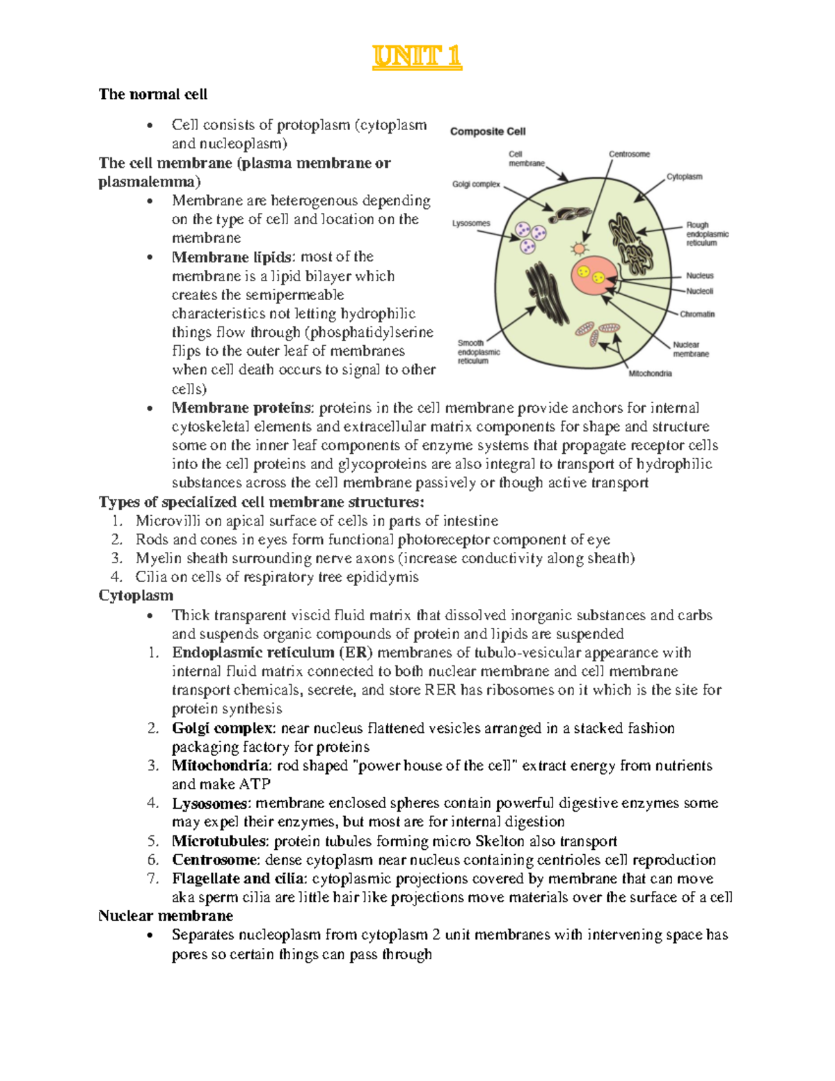 Exam Review Notes - The normal cell • Cell consists of protoplasm ...