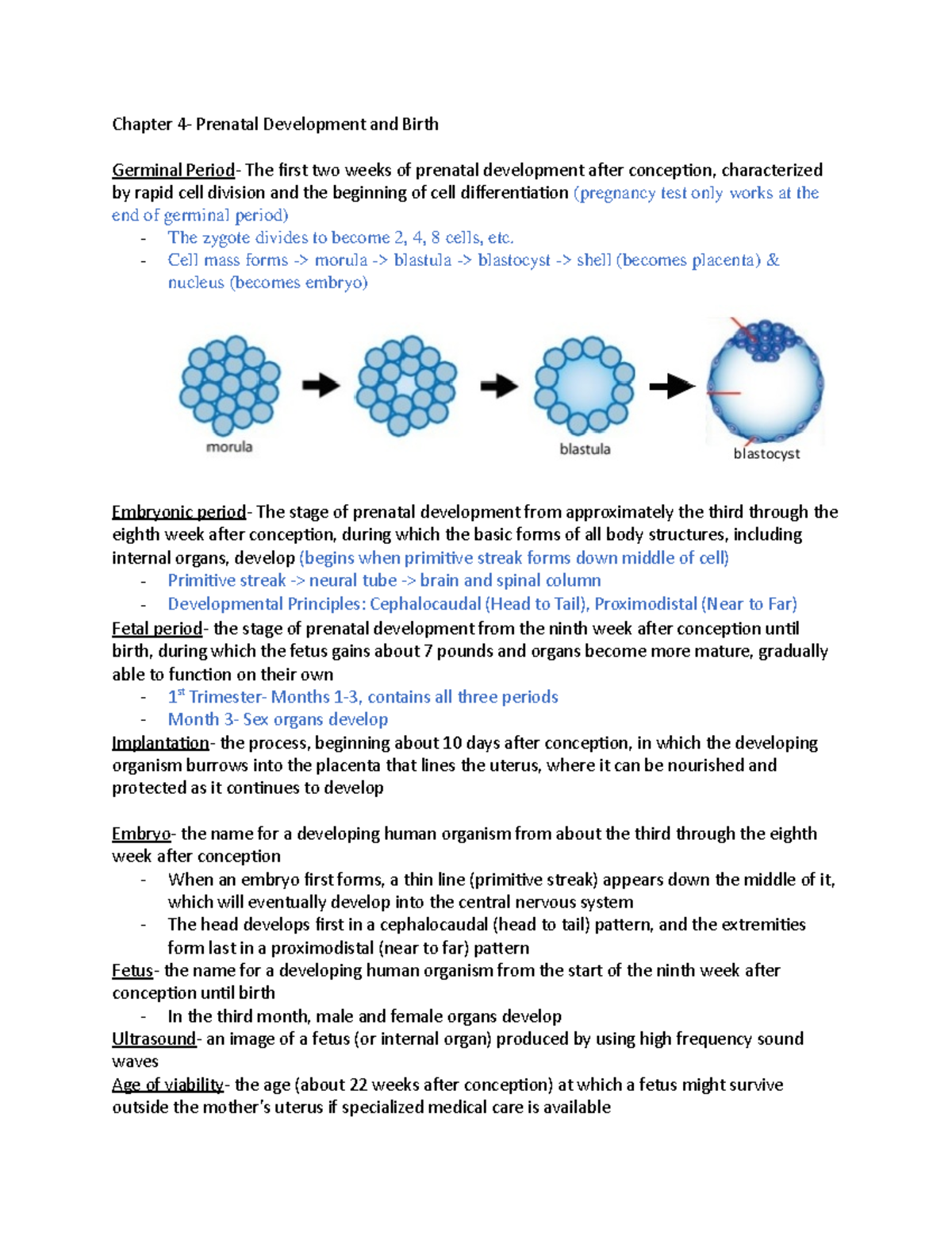 Chapter 4- Prenatal Development And Birth - Chapter Prenatal ...