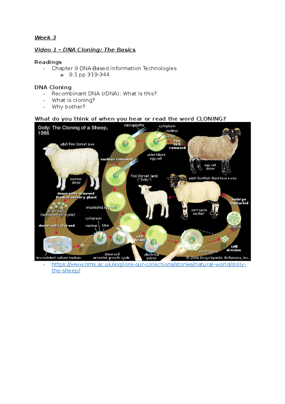 Week 3 - Lecture notes 3 - Week 3 Video 1 – DNA Cloning: The Basics ...