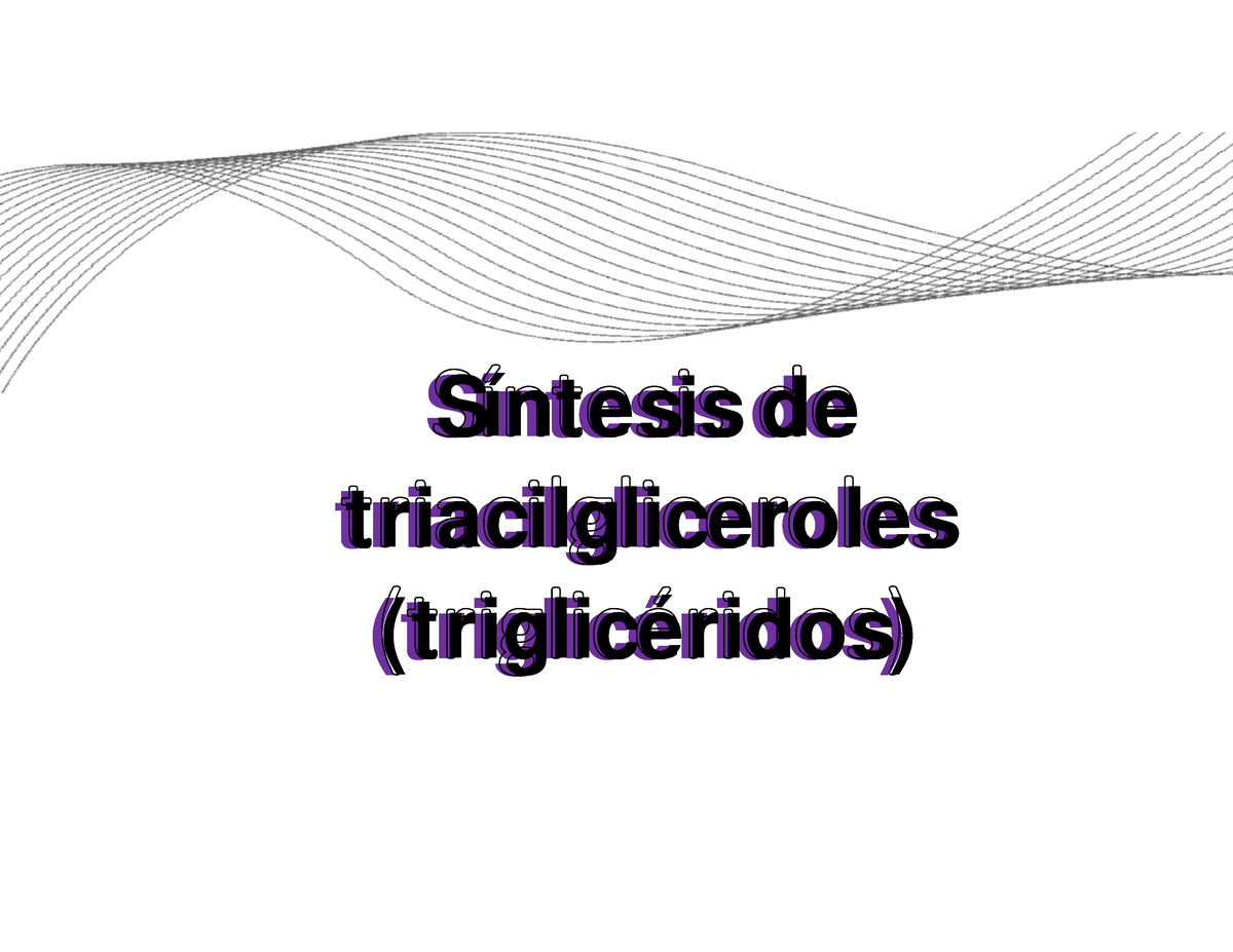 Sintesis Trigliceridos Síntesis De Triacilgliceroles Triglicéridos 7441