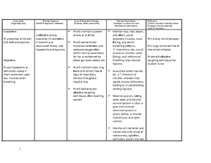 12753198 Nursing Care Plan for myocardial infarction - XI. NURSING CARE ...