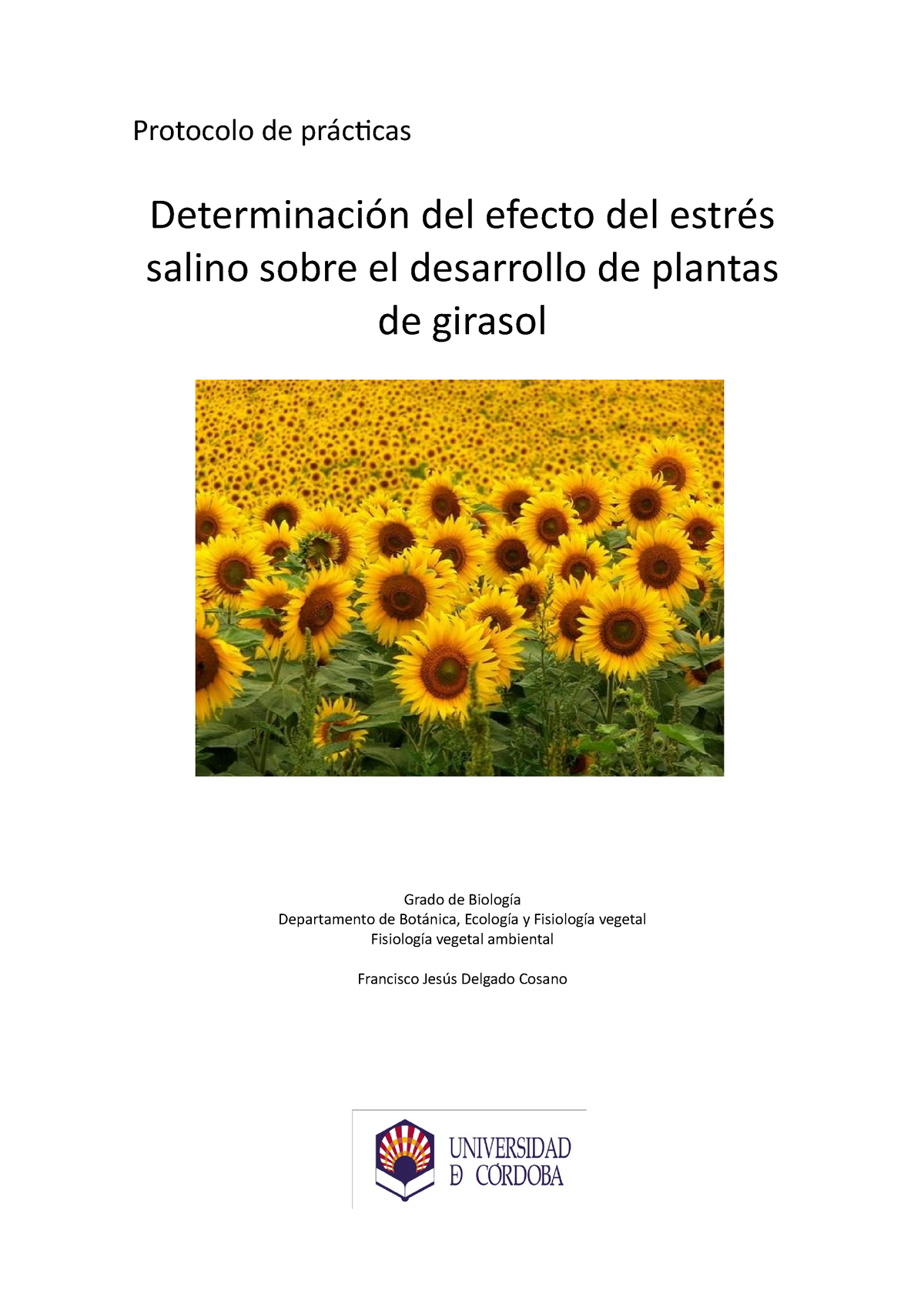 Total 75 Imagen Fisiologia Del Girasol Abzlocalmx 8492